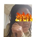 이지피 네이버블로그