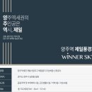 스카이정보 이미지