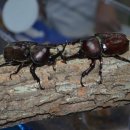 검태회관 이미지