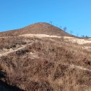 01-79 동구 이미지