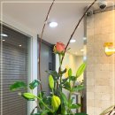 버들한의원 이미지