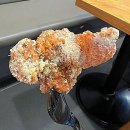 맘스터치제주터미널점 | [제주 용담동]허니버터뿌치 싸이순살,쉬림프싸이플렉스버거(맘스터치 터미널점)내돈내산 솔직후기