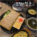 청춘물고기 | [서울/잠실새내] 야구 직관 뒷풀이 장소 추천 ‘오징어청춘’ 잠실새내 횟집 후기