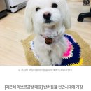 밀가루공방