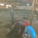 오성2농장 이미지