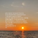 잘 쓴 이혼일지 / 이휘 / 21세기북스 / 이혼브이로그 / 이혼 에세이 / 이별 에세이