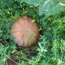 맷돌로1 이미지