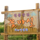 꽃마실 이미지