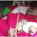 탁근농장 이미지