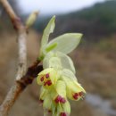 생태와 기후변화이야기 이미지