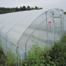 중열농장 이미지