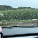 BS풀빌라 | [DANNIBLANC] 경기 가평 신축 독채 풀빌라 &#39;BS풀빌라&#39; 여름 여행지 추천/수영장펜션/가족여행추천