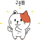 하늘을 걷는 고양이 카페 이미지