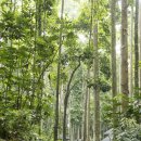 발리관광호텔 이미지