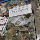 도매농수산물