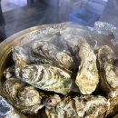 힙앤롤(hipnroll) | 요즘 나의 일상 기록 04