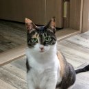 이화빌라 이미지