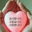 배산실내체육관 이미지