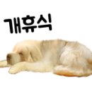 재미나개 이미지