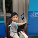 나들이세탁소 이미지