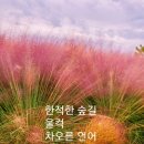 [유튜브] 붉은 장미ㆍ만조ㆍ화음 / 최영숙 이미지