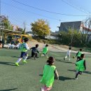 삼봉태권도 이미지