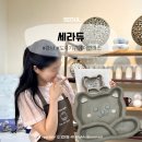 서울빌딩 | 서울도자기 원데이클래스 핸드빌딩 세라듀 체험 후기