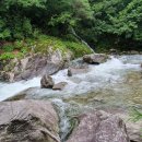 중산리(탁영뢰) 이미지