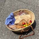 (주)메르시팜 | 여름 시작
