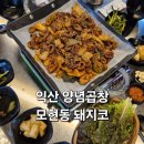 모현동-14 | 익산 모현동 맛집 돼지코 양념곱창 갈비 주차, 포장 후기