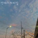 주정차단속-108 이미지