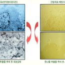 BRM연구소.국제건강가족동호회