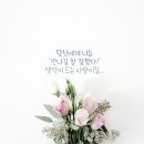 웰빙엄마꼬마김밥 이미지