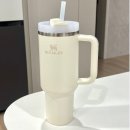 공지로 2L | [공지] 요즘 감성캠핑 필수템 스탠리컵! 하루 물 2L 도전 중 직접 써봤어요 (내돈내산 후기)