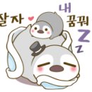 퍼플펭귄 네이버블로그