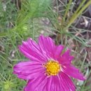 아름다움을먹다 이미지