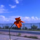 석문철정형외과의원 이미지