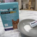 레오의집 | [고양이신장영양제] 신장결석 수술한 바다와 입맛 까다로운 레오의 페노비스 고양이 유산균 찐 후기! 🐾