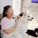 애견# | 목동 카페멍 애견카페 후기 : 실내데이트 하기 좋은 목동 애견카페