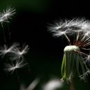 사진촬영(기초) 이미지