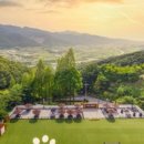 배때기네하우스 이미지