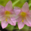 스마트폰&인터넷기초(수) 이미지