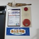 네일고와요 네이버블로그