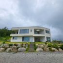 가고파그집 이미지