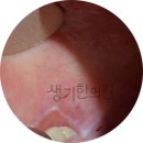 태선위생 이미지