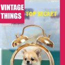 바비애견미용 이미지