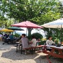 싱싱바다회 이미지