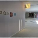 브람스피아노교습소