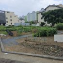 삼양종점 (삼양1동방면) | 제주도 부동산 삼양이동 토지매매