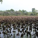 고창 마을회관 이미지